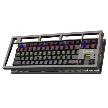 Mechanical Gaming Keyboard RK-X42