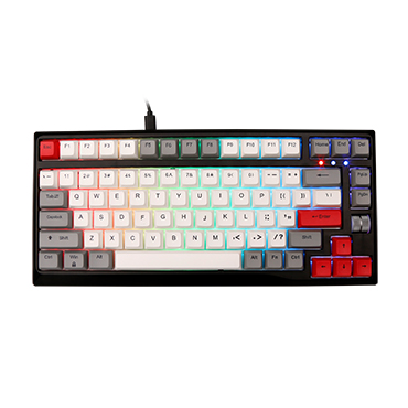 Mechanical Gaming Keyboard  RK-X48